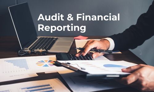 Audit & Financial Reporting - Compliance for Pvt Ltd in India