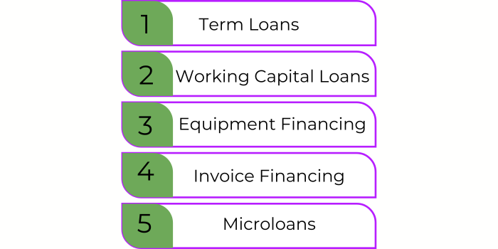 Different Types of Startup Loans