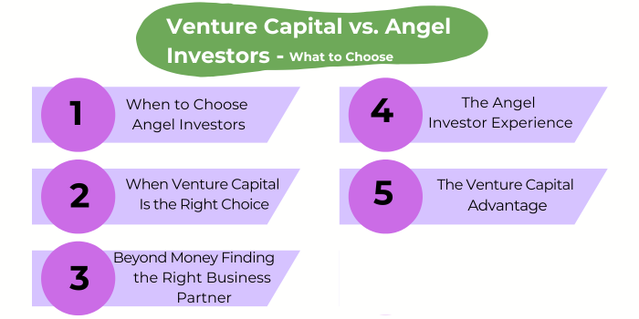 Venture Capital vs. Angel Investors